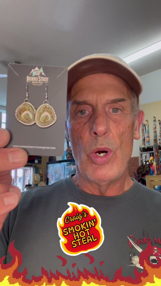 🔥CRAIGS SMOKIN’ HOT STEAL🔥 Sterling Silver Navajo Handmade Dry Creek Turquoise Earrings🔥