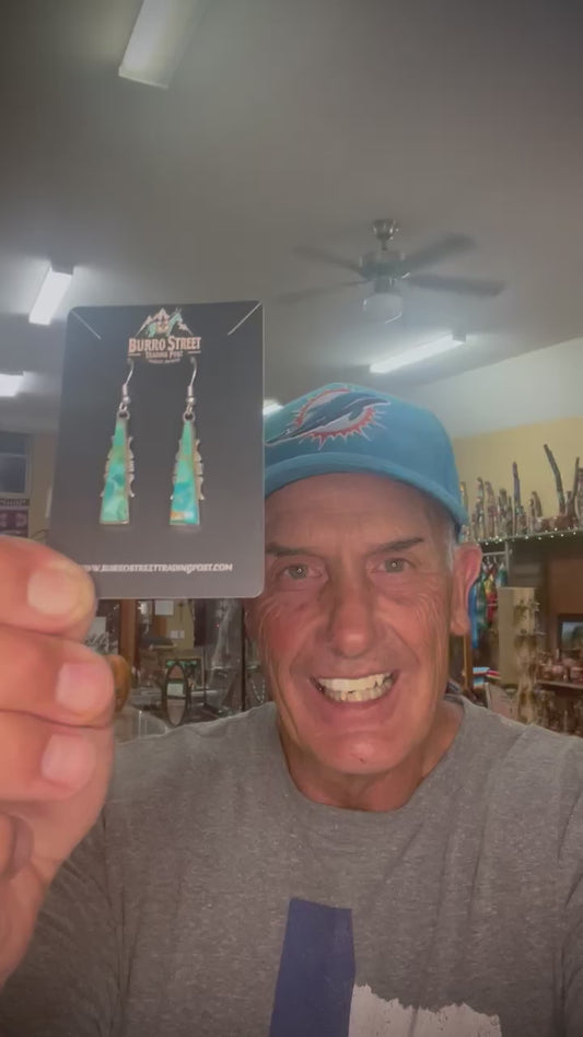🔥CRAIG’S SMOKIN’ HOT STEAL🔥Sterling Silver Native American Handmade Royston Turquoise French Hook Earrings🔥